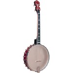 Irish Tenor Banjo IT-250