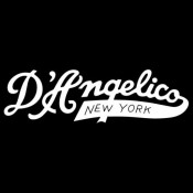 D'Angelico Semi Acoustic (25)