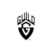 Guild USA (16)